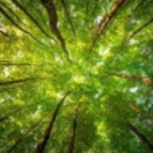 Meet your Posher, Nicholas